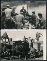 cca 1910-1940 7 db halászattal kapcsolatos fotó kb 16x12 cm