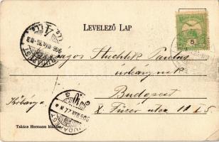 1906 Jászberény, Fő tér, Schwarcz Hermann bor, sör és pálinka mérése, Jászsági Hitelintézet és Takar...