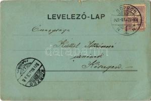 1901 Sopron, Erzsébet út. Kiadja L. Kummert 87. (kis szakadás / small tear)