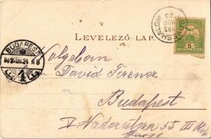 1903 Hegyeshalom, Fő utca, Evangélikus templom, Római katolikus templom, üzlet, Vasútállomás. Kiadja...