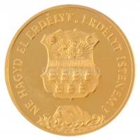 1989. "Temesvár - 1514, 1989 / Ne hagyd el Erdélyt, Erdélyt Istenem!" aranyozott fém emlék...