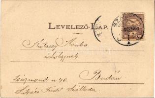 1900 Szabadka, Subotica; Pest szálloda és a városi színház. Hermann Mór kiadása / hotel, theater