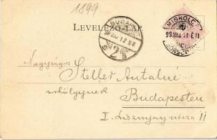 1899 Miskolc, Hámori tó. Kiadja Ferenczi B