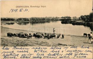 1908 Debrecen, Hortobágy folyó, sertésnyáj. Chylinsky felvétele