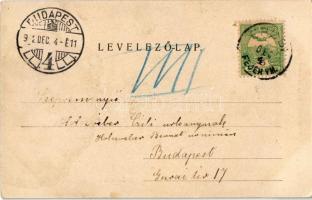 1902 Ercsi, Fő utca, Eötvös emlékmű. Déri János és fia kiadása