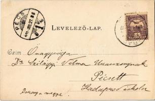 1901 Parádfürdő, Társalgó. Kiadja Sreter fényképész