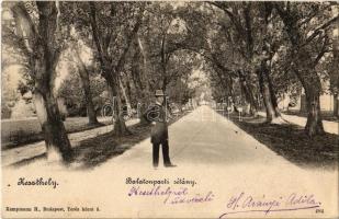 1902 Keszthely, Balaton parti sétány. Kiadja Kampmann H. (ázott sarok / wet corner)
