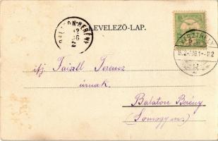 1902 Keszthely, Balaton parti sétány. Kiadja Kampmann H. (ázott sarok / wet corner)