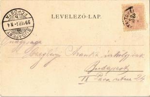 1899 Tata, Tata-Tóváros; Tóváros, előtérben a Nagytó. Kiadja Engländer és Társa