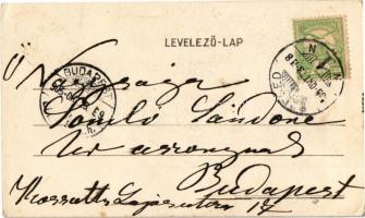 1905 Szeged, Vásárhelyi Pál szobra. Tschöckell H. (b)