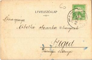 1908 Csanytelek, Cs.-Csány; Keresztény Szövetkezet üzlete és kiadása (EK)