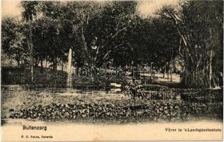 Bogor, Buitenzorg; Vijver in Landsplantentuin / botanical garden, pond