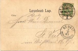 1901 Sopron, látkép