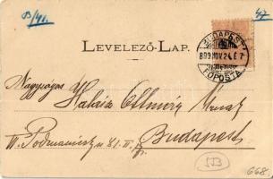 1899 Budapest XI. Gellérthegy a Ferenc József hídnál. Divald fénynyomdájából 110