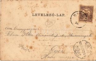 1901 Bicske, Buda-Bicske; Fő utca, Római katolikus templom, Református templom, üzletek. Kiadja Flak...