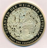 Németország DN "Fünfzig reichspfennig 1924" jelzetlen aranyozott Ag (?) emlékérem (70mm) T...