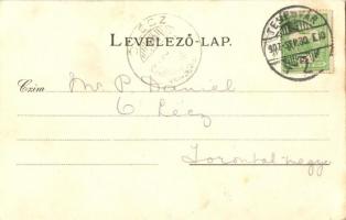 1907 Temesvár, Timisoara; Temes vármegye címere; Athenaeum Rt. kőnyomdája / Art Nouveau, coat of arm...