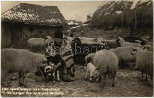 Un berger des environs de Sofia / shepherd from the surroundings of Sofia, Bulgarian folklore