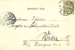 1901 Temesvár, Timisoara; Gyárvárosi műmalom. Kiadja Polatsek-féle könyvkereskedés / Fabrica mill