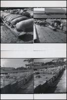 cca 1969 és 1982 között készült felvételek Kőbányán (Bp., X. ker.), 39 db vintage negatív + 4 db mai nagyítás (10x15 cm), 6x6 cm és 24x36 mm