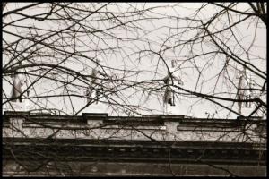 cca 1969 és 1982 között készült felvételek Kőbányán (Bp., X. ker.), 39 db vintage negatív + 4 db mai...