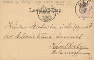 1899 Ózd, vasgyár. Art Nouveau, floral (EK)