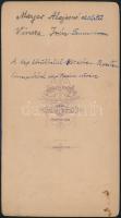 cca 1890 Mayer Alajosné (szül. Vincze Irén Temesváron, Mayer Alajos festőművész felesége) vintage fé...