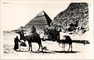 Giza, Pyramids of Giza, camels, photo (non PC)