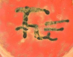 Jelzett iparművész falitál, festett mázas kerámia, apró kopásnyomokkal, d: 21 cm