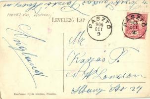 1906 Pásztó, Fő utca, Holczer József és Weil üzlete. Kaufmann Gyula kiadása (EK)