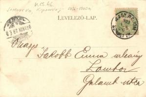 1903 Nagybajom (Somogy), Kongó út. Steiner Ignác és fia kiadása