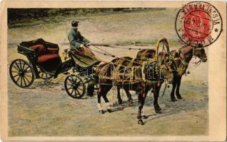1909 Troika / horse-drawn carriage. TCV card (fl)