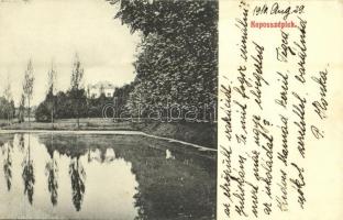 1910 Kiskorpád, Kaposszéplak puszta, Makfalvay Géza kastélya