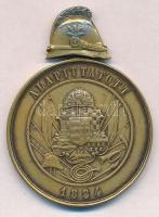 ~1900. "A Magyar Országos Tűzoltó Szövetség X éves Szolgálati Érme" Br kitüntetés tűzoltós...