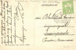 1913 Nagymágocs, Halastó és fürdőház