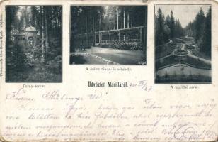 Marilla Sanatorium with gym (EB)