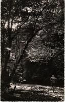 1952 La foret gabonaise / Gabonese forest (EK)