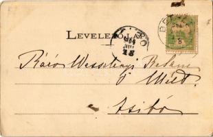 1904 Bethlen, Beclean; Bethlen gróf kastélya. Báró Wesselényi Bélánénak címezve. Kiadja Kajári Istvá...