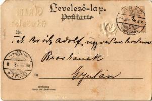 1899 Aradi üdvözlet, dombornyomott virágos litho üdvözlőlap / Greetings from Arad! Emb. floral litho...