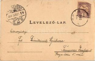 1900 Nadrág, Nadrag, Steinacker;  Werkshotel mit der Walzhütte im Hintergrund, Heizhaus / Gyári szál...