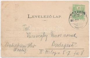 1911 Fogarasi-havasok (Fogarasi Kárpátok), Fogarascher Karpaten, Muntii Fagarasului; Fleissig Jakab ...