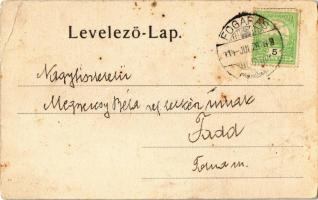 1914 Fogarasi-havasok (Fogarasi Kárpátok), Fogarascher Karpaten, Muntii Fagarasului; Podragul hegyol...