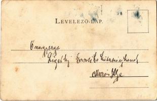 1902 Bucsony, Bucium (Abrudbánya mellett / near Abrud); Detonáta hegy. Kiadja Galfi György fényképés...