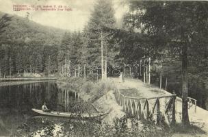 1910 Pozsony, Pressburg, Bratislava; IX. Malom II. tó / IX. Landmühle 2ter Teich / mill with lake