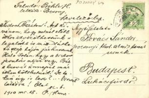 1910 Pozsony, Pressburg, Bratislava; IX. Malom II. tó / IX. Landmühle 2ter Teich / mill with lake