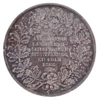 Német Államok / Köln 1865. "Általános mezőgazdasági kiállítás" jelzetlen Ag emlékérem (ANU...