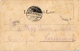 1900 Debren, Dobrin; Ménes Dobrinban. Részlet az Andrássy-havasokból. Dunky Fivérek cs. és kir. udva...