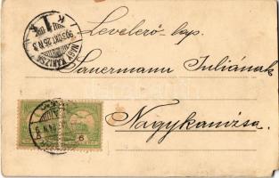 1903 Segesvár, Schaessburg, Sighisoara; utca, tér, F. Lingner üzlete. Kiadja Teutsch F. / street, sq...