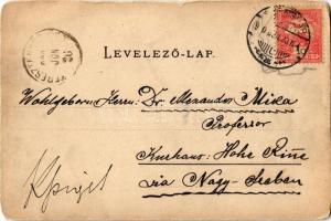 1900 Segesvár, Schässburg, Sighisoara; (vágott / cut)