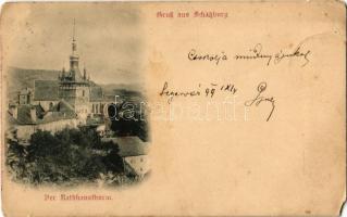 1899 Segesvár, Schässburg, Sighisoara; Der Rathhausthurm / Óratorony / Turnul cu Ceas / Clock Tower (EM)